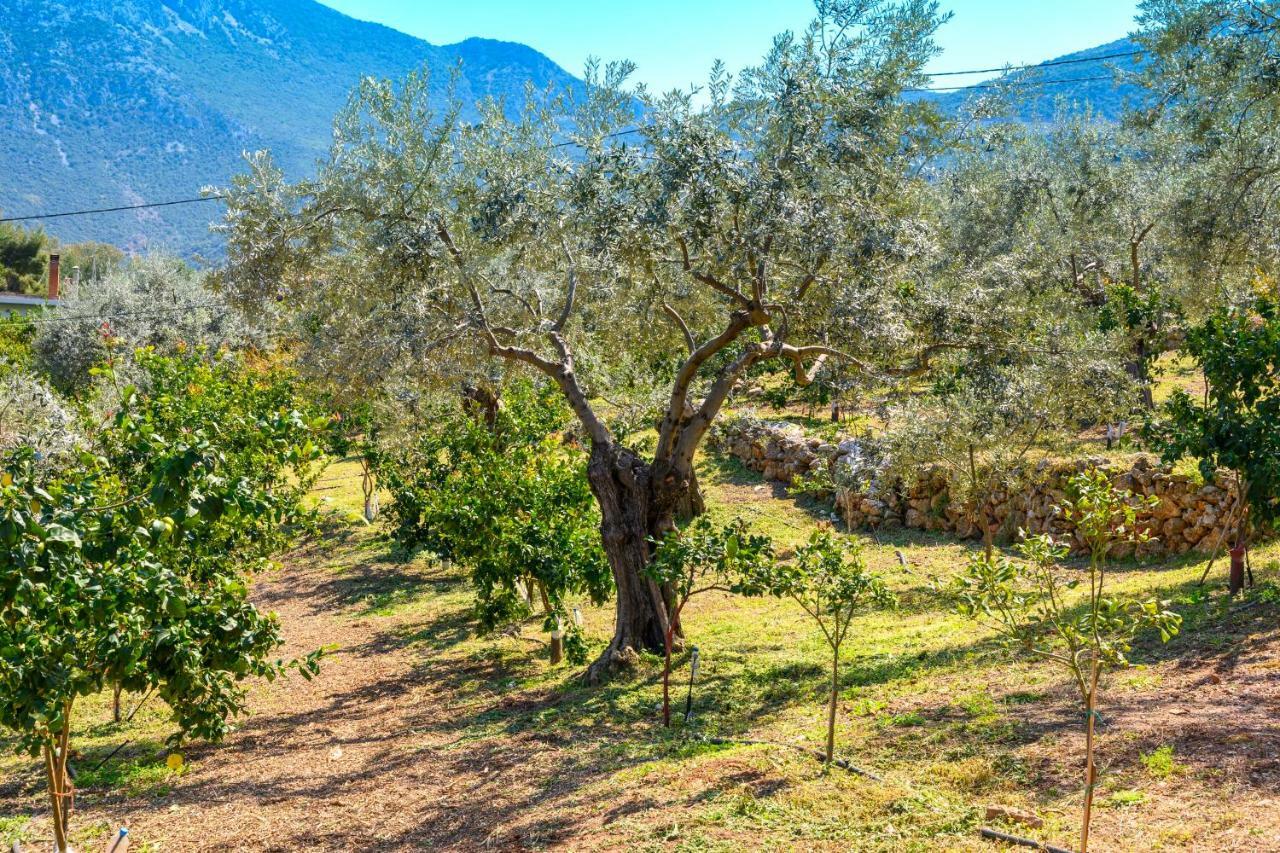 Maria Epidavros Apartament Epidaurus