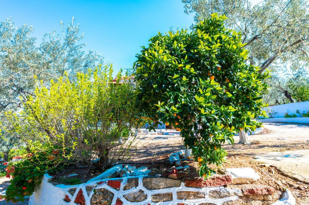 Apartament Maria Epidavros *